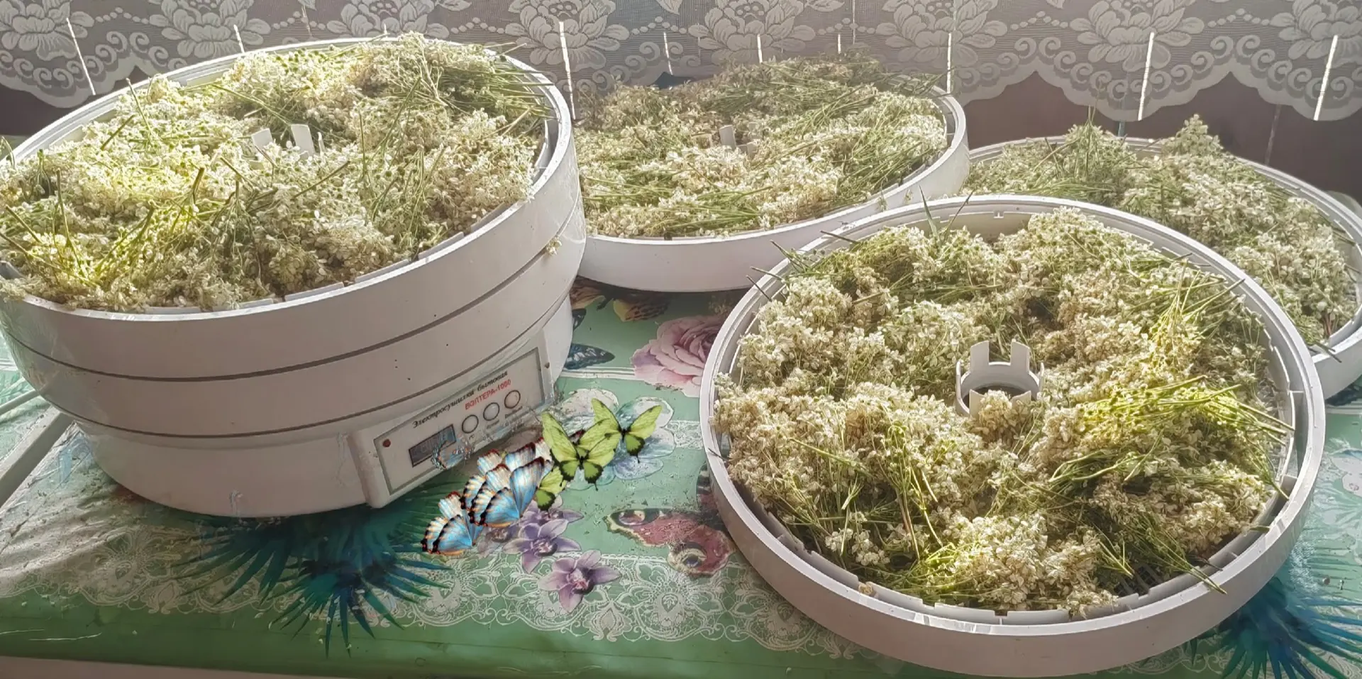 Когда чай – не просто напиток