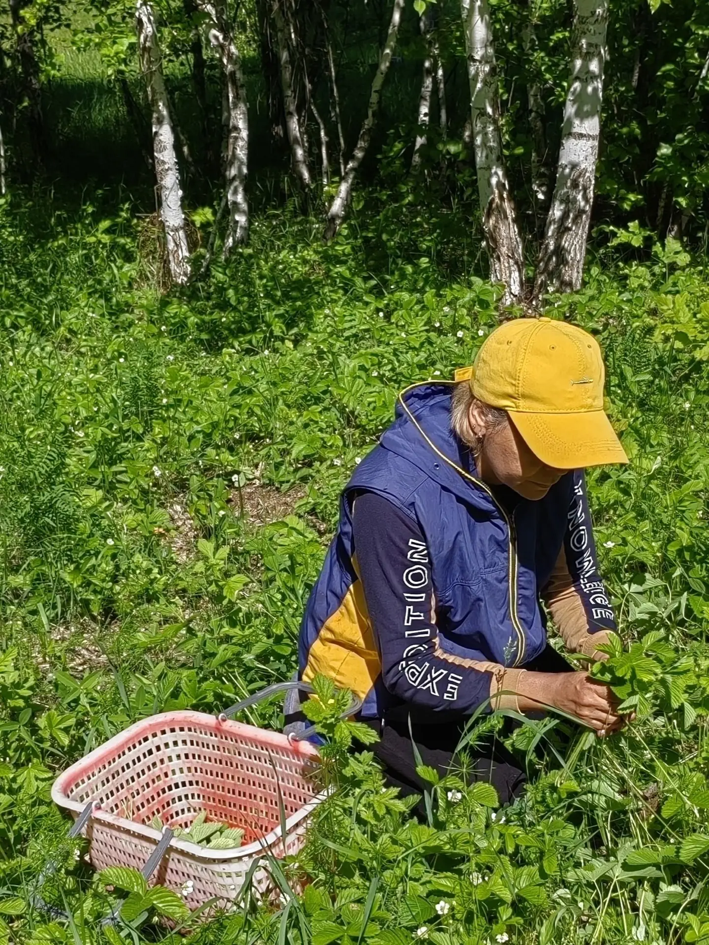 Когда чай – не просто напиток